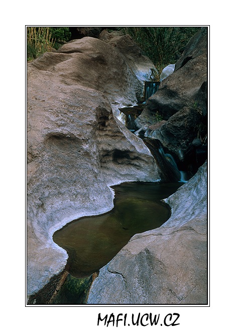 canaria06_05_03 .jpg